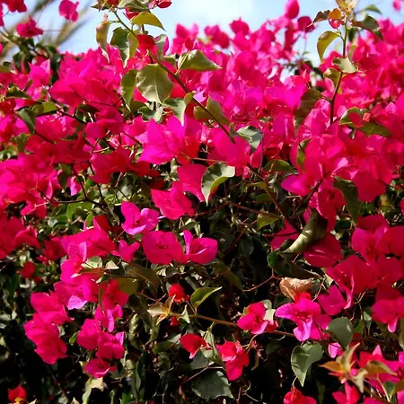 Nuevo ático Con Piscina Privada Y Vistas Al Mar Fuengirola