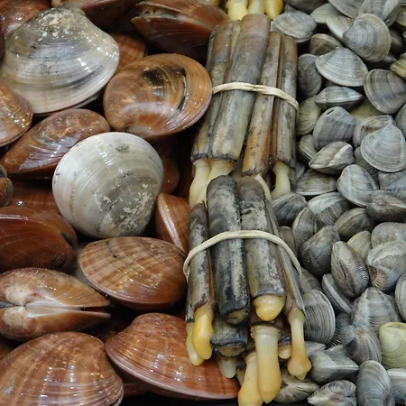 Nuevo Atico Con Piscina Privada Y Vistas Al Mar * Fuengirola