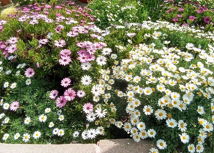 דירה Nuevo Atico Con Piscina Privada Y Vistas Al Mar פואנגירולה